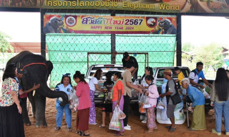 COCO LOVE Supports Elephant Villages in Surin Province